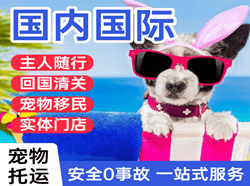 深圳宝安空运国际宠物托运 【国